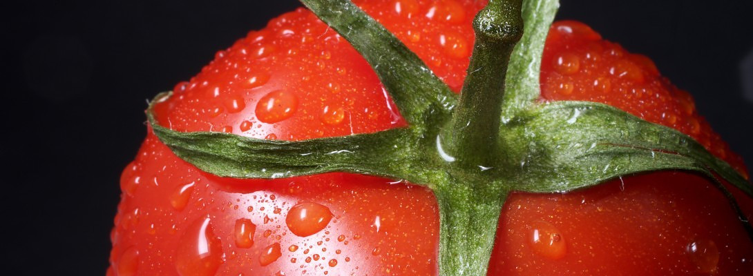 Do more and have fun with time management