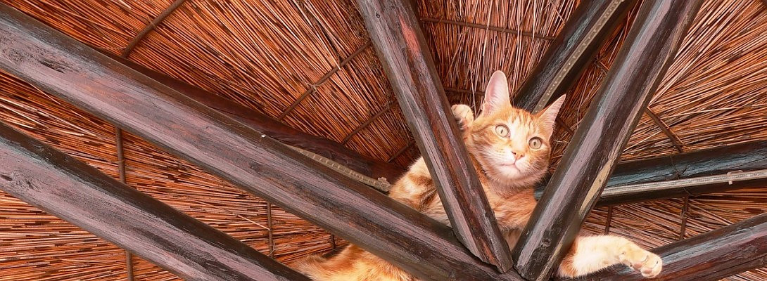 Stuck in my training!