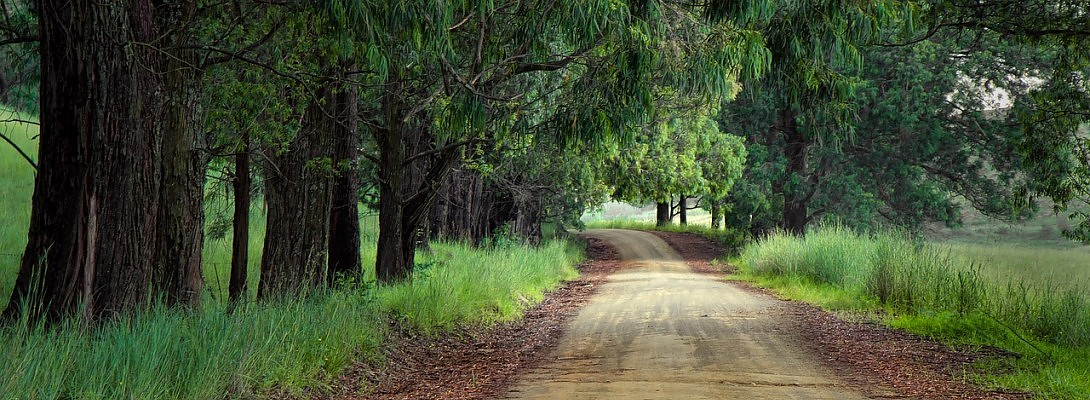 A path worth walking on