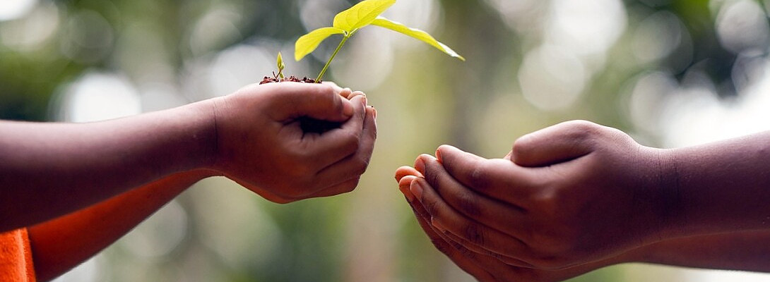 Why We Share Our Thoughts: The Benefits of Thought Sharing for Growth, Clarity & Connection