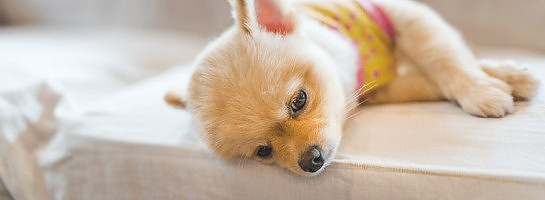 Back At It But The Motivation Isn't There.