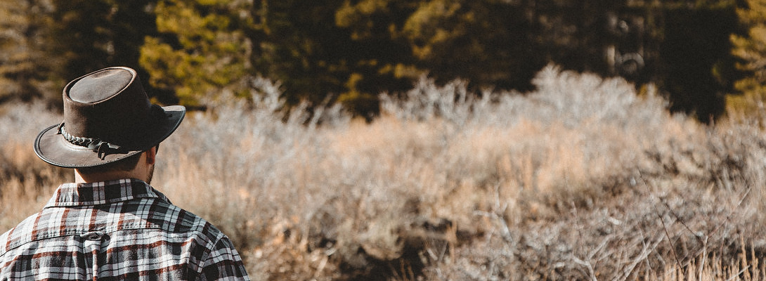 Slowing down on blogging here.