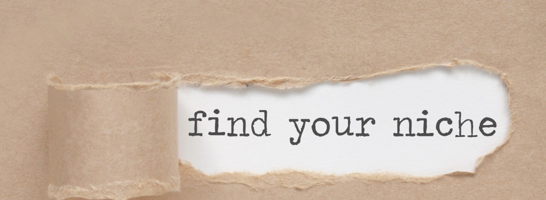Need help finding a niche? I've got you covered.