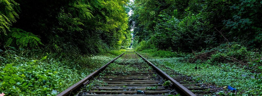 Work Hard Now-Live the Life I want later