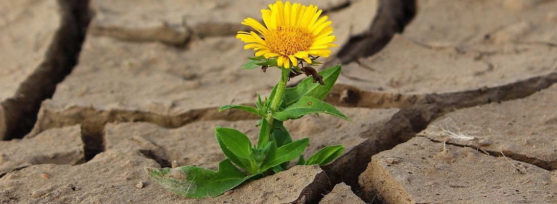 "The Impossible we do Immediately. Miracles take a little longer"