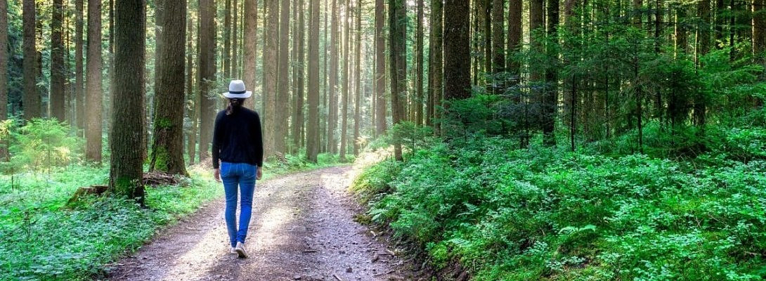 Starting my journey!