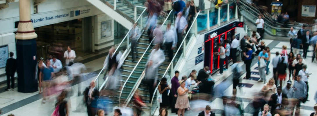 A Very Busy Past Two Weeks