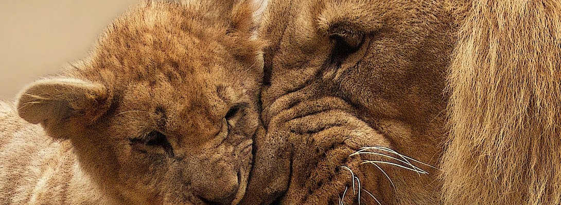 Inspirational Message