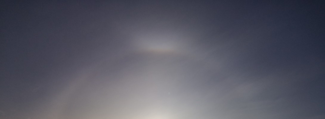 Second Update on My Progress