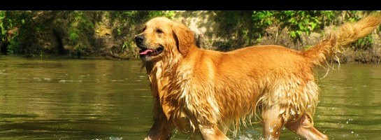 My Progress At Wealth Affiliates