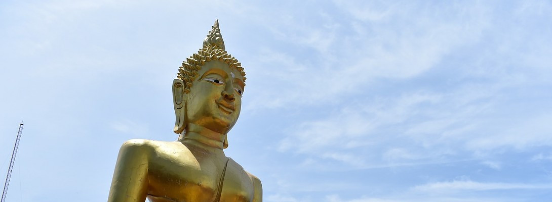 Just Upgraded to Yearly! Feeling Zen!