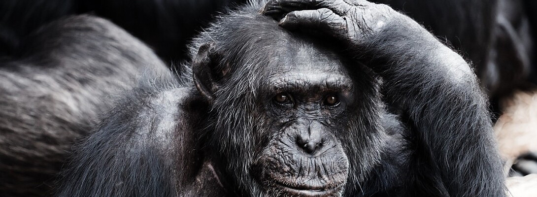 Why Are People So Nosey?