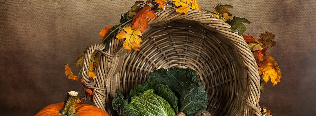 Happy Belated Thanksgiving & I Decided To Renew My Premium For Another Year