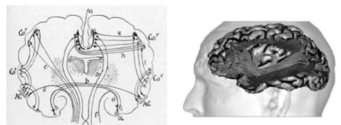 Opening Our Minds To All Possibilities