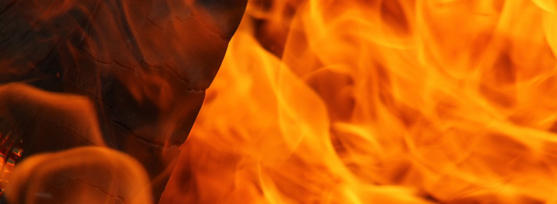 From the freezer to the oven