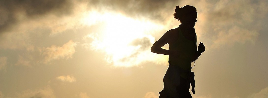 Success Takes Endurance