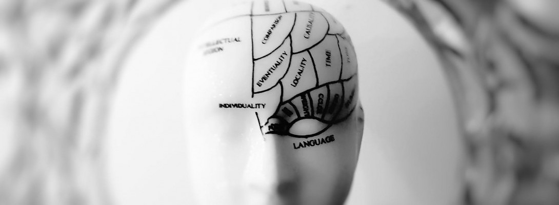 Regrow Brain Power - Choose wisely!