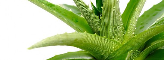 Update On My Journey & The Importance Of Keywords