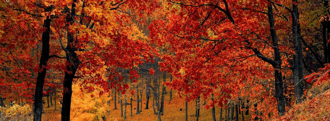 new beginnings…i think?