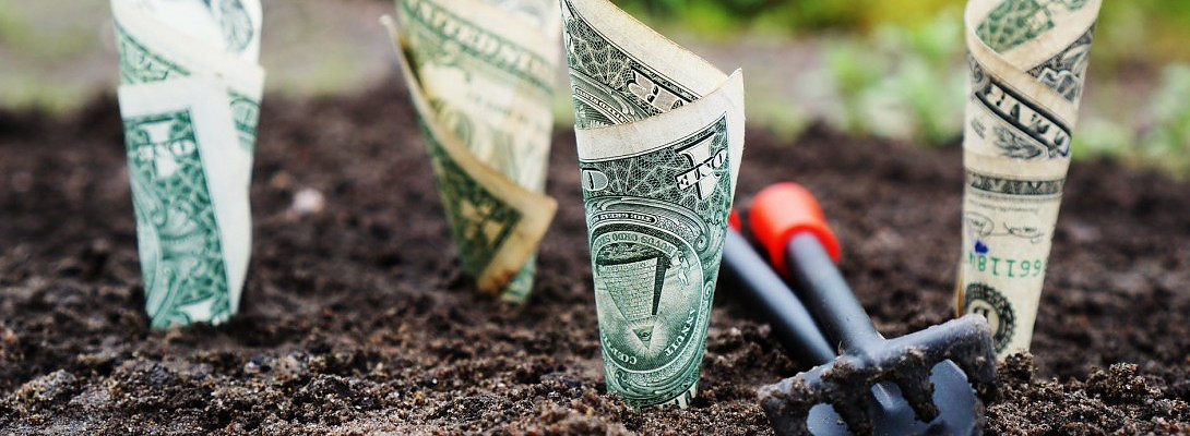 I Made My 1st Amazon Sale!