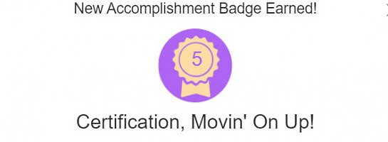 Online Entrepreneur Certification - Level 5 - Completed!