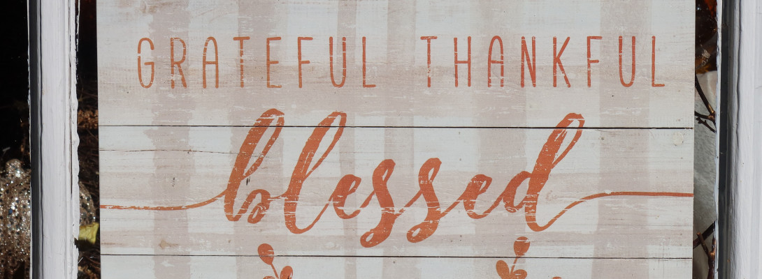 SITE SUPPORT Always Delivers! Thank You Carson & Team!