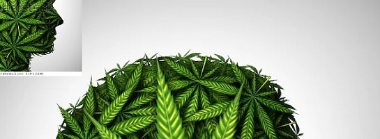 Expat mark exposures on pass that joint! weed!