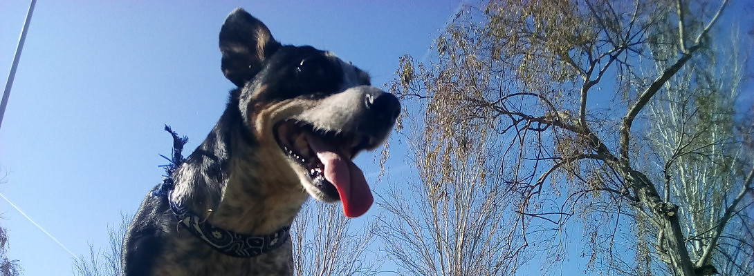 Hey WA Fam, I'm Back!