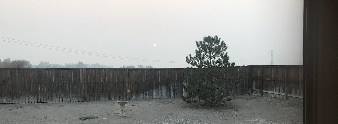 Cough Cough, Wheeze Wheeze