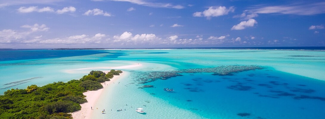 Blogging Success-Travel Commissions Earned