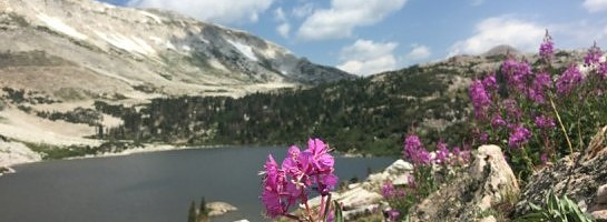 My First Certification through Wealthy Affiliate