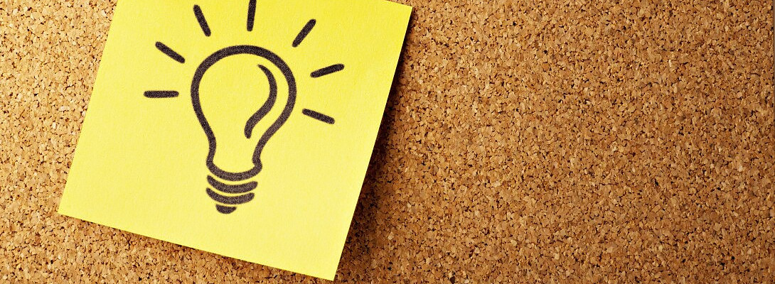 How I accidentally found a niche in my own backyard