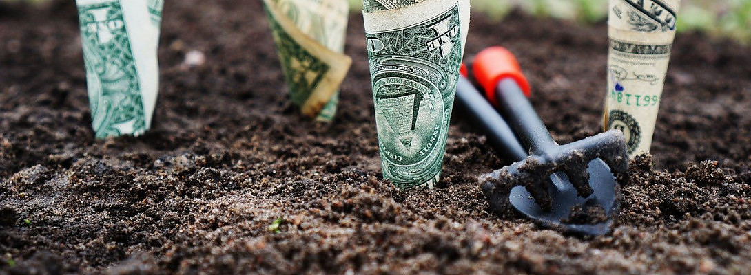 I Just Upgraded To Yearly - Sowing Into My Future!