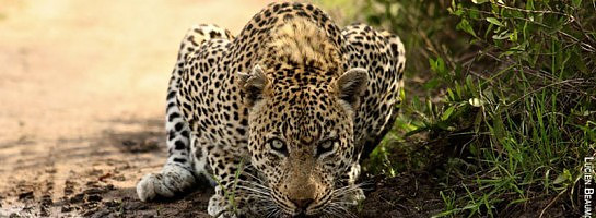South Africa and the Beauty of Mother Nature