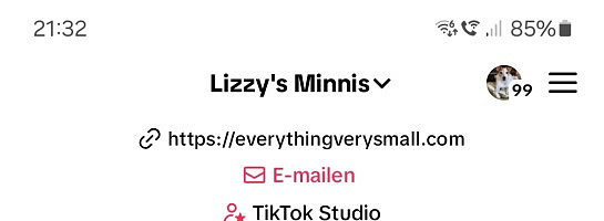 Get that TikTok backlink guys!