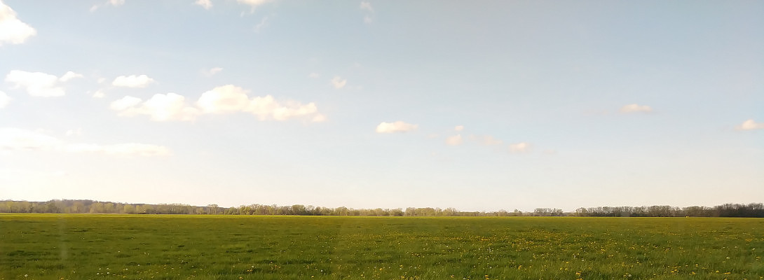 Changes to Be Made, Amazon, and Other Stuff