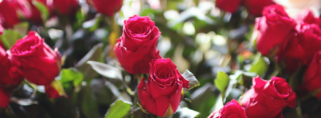 Happy Mother's Day To All You Ladies