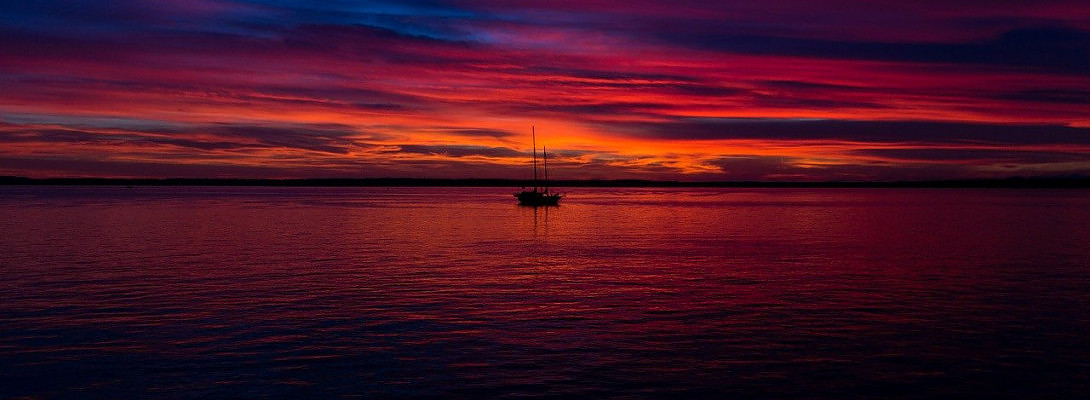 Six Months Accomplishment Badge