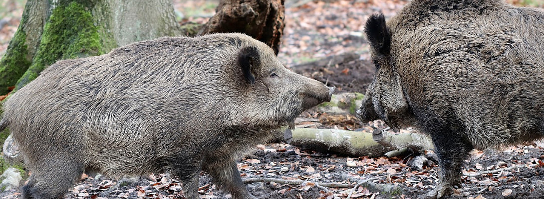 Google Must Not Like Me