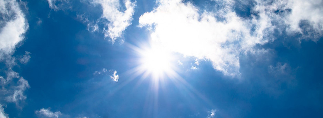 Keep A Sunny Disposition