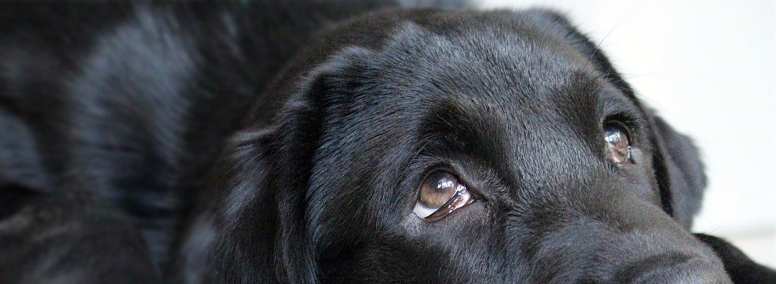 Success Inspite of Ourselves