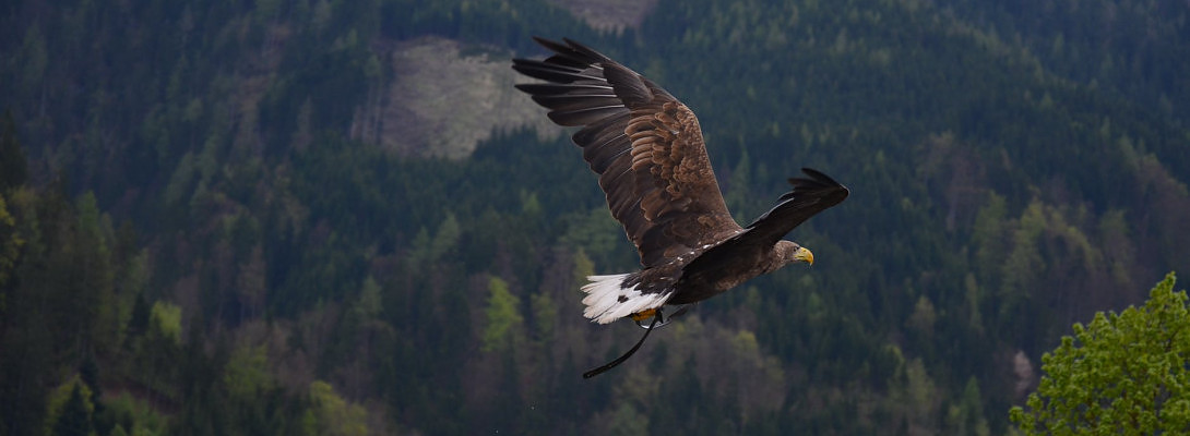 Index freedom at last.