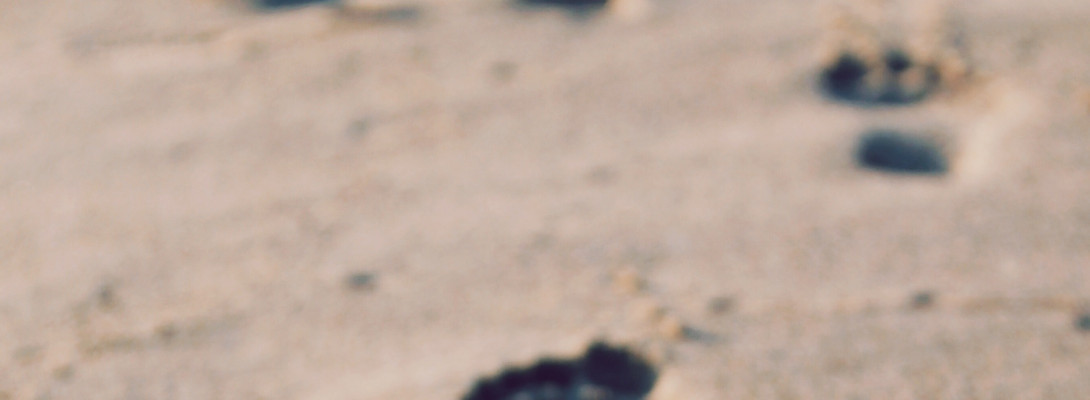 the first step is the longest stride.