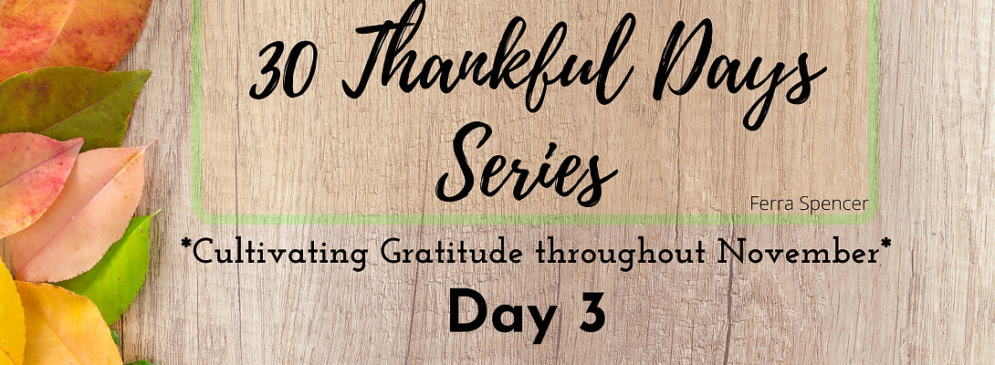 30 Thankful Days Series - Day 3 - I am Thankful for November, 3rd, 2020