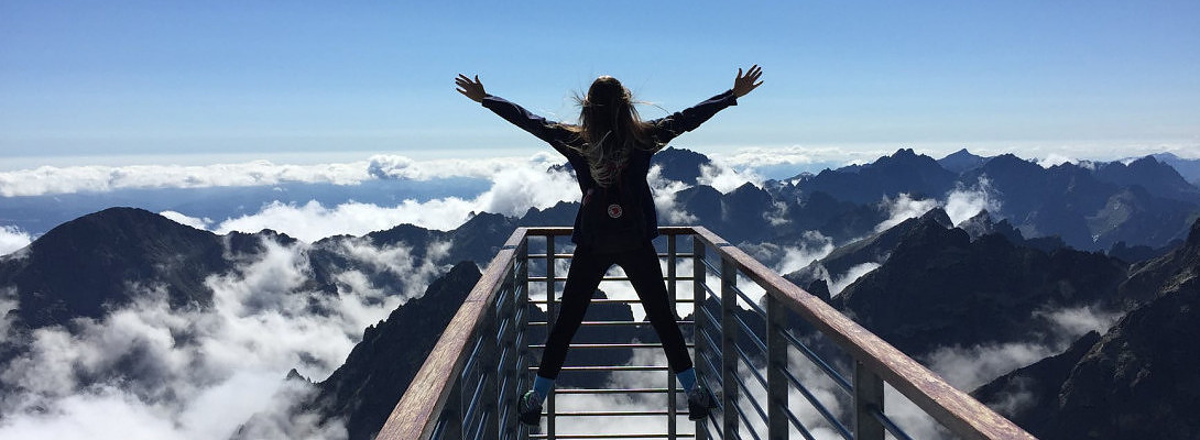 Upgraded to yearly premium!