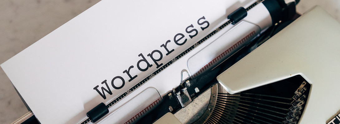 WordPress Theme Baseline Google PageSpeed Tests - Is Your Website Fast Enough?