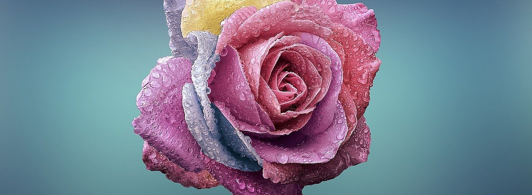 3 Easy Ways to make Your Site more Beautiful!