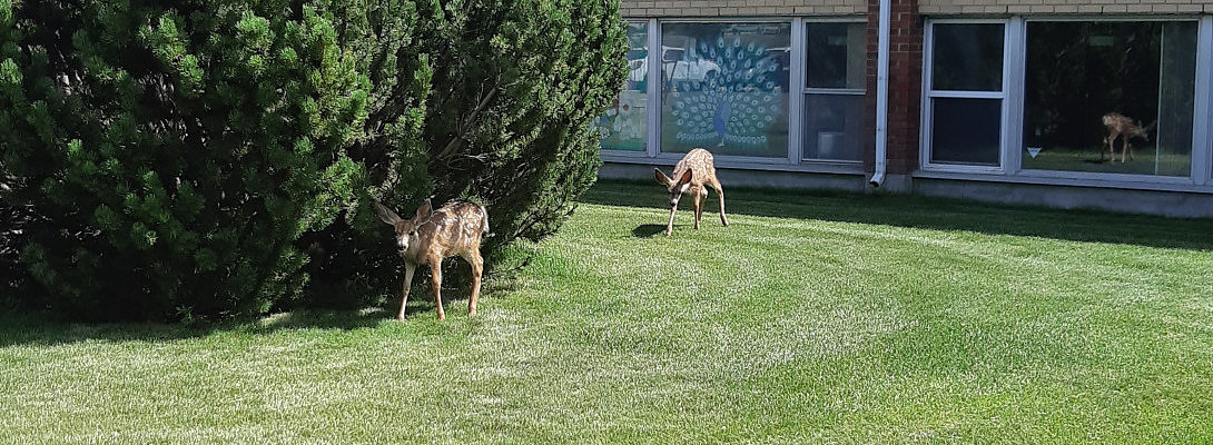 A little cuteness :)