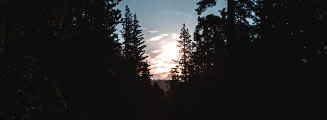 What If You Know How It All End?