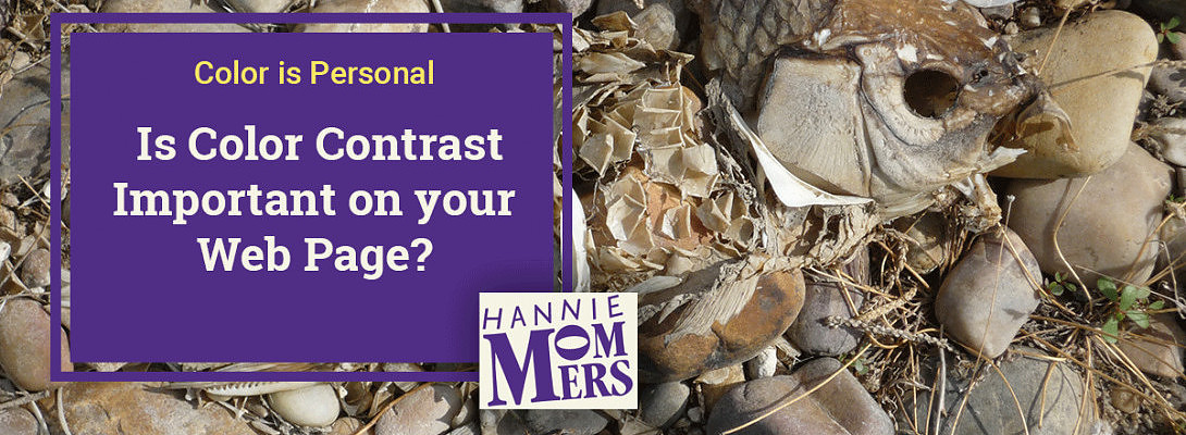 Is Color Contrast Important on your Web Page?